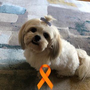 Meet your Posher, Jodie